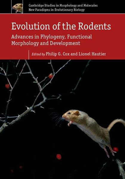 Produktbild: Evolution of the Rodents: Volume 5