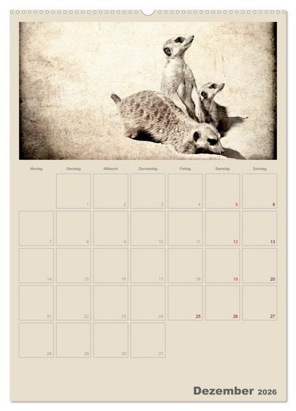 Produktbild: Lustige Erdm&auml;nnchen (Wandkalender 2026 DIN A2 hoch), CALVENDO Monatskalender
