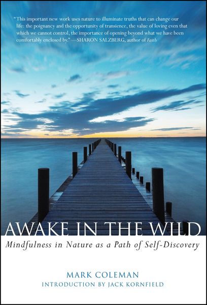 Produktbild: Awake in the Wild
