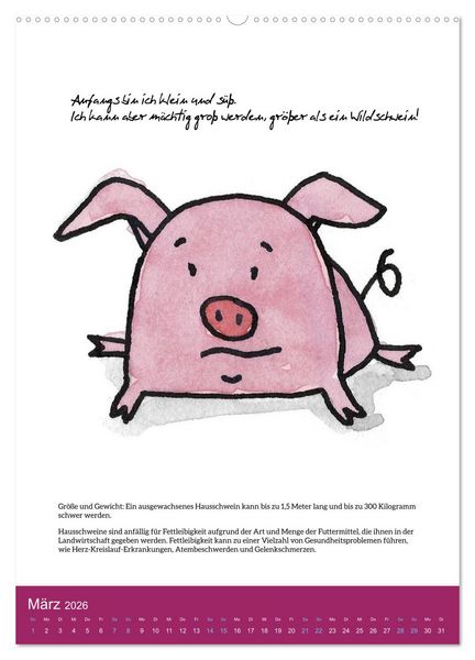 Produktbild: Schweinekalender - Alles was du &uuml;ber Schweine wissen wolltest! (Wandkalender 2026 DIN A2 hoch), CALVENDO Monatskalender