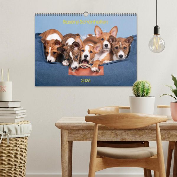 Produktbild: Basenji-Sch&ouml;nheiten (Wandkalender 2026 DIN A3 quer), CALVENDO Monatskalender