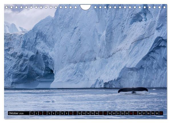 Produktbild: GR&Ouml;NLAND Eisfjord und Diskobucht (Wandkalender 2026 DIN A4 quer), CALVENDO Monatskalender