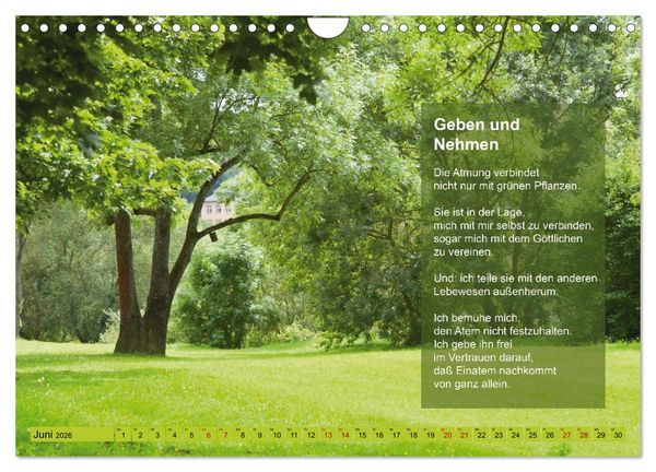 Produktbild: Im Rhythmus der Jahreszeiten und des Kirchenjahres (Wandkalender 2026 DIN A4 quer), CALVENDO Monatskalender