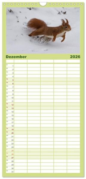 Produktbild: Familienplaner 2026 - Mit dem Eichh&ouml;rnchen durchs Jahr mit 5 Spalten (Wandkalender, 21 x 45 cm) CALVENDO