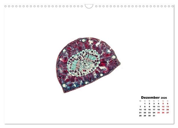 Produktbild: Pflanzen unter dem Mikroskop (Wandkalender 2026 DIN A3 quer), CALVENDO Monatskalender
