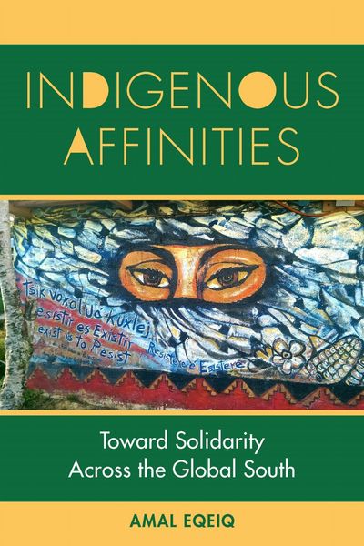 Produktbild: Indigenous Affinities