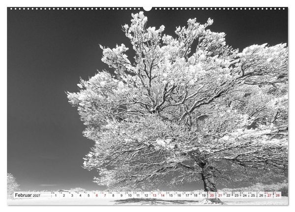 Produktbild: Traumhafte Allg&auml;uer Alpen (hochwertiger Premium Wandkalender 2027 DIN A2 quer), Kunstdruck in Hochglanz