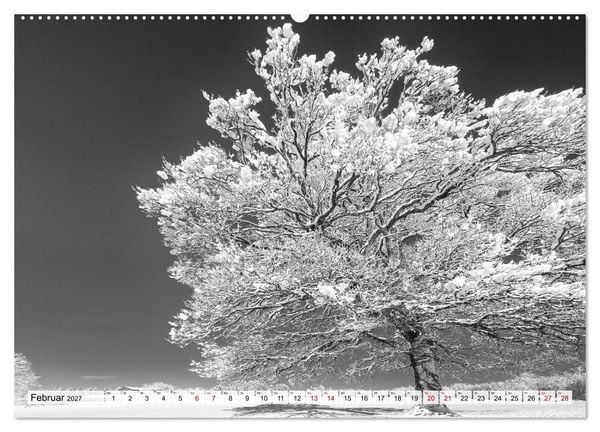 Produktbild: Traumhafte Allg&auml;uer Alpen (Wandkalender 2027 DIN A2 quer), CALVENDO Monatskalender