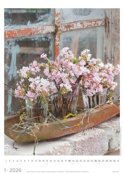 Produktbild: Blumen 2026 - Bildkalender A3 (29,7x42 cm) - Flowers - mit Feiertagen (DE/AT/CH) - Wandkalender - Blumenkalender
