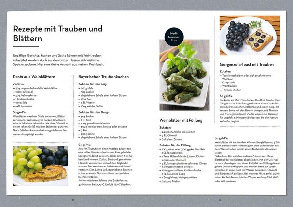 Produktbild: Wein im Garten anbauen & ernten