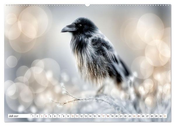 Produktbild: Lichtperlen (hochwertiger Premium Wandkalender 2027 DIN A2 quer), Kunstdruck in Hochglanz