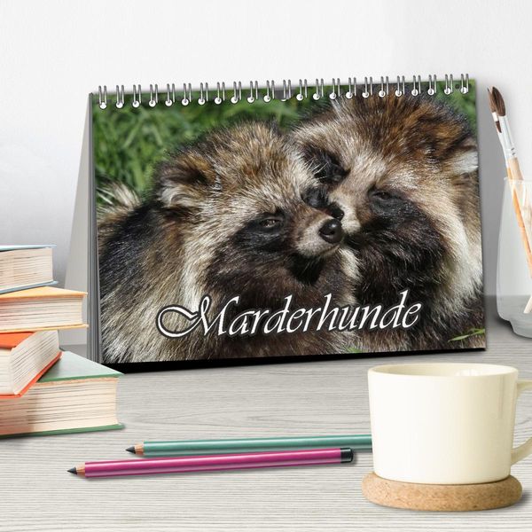 Produktbild: Marderhunde (Tischkalender 2026 DIN A5 quer), CALVENDO Monatskalender