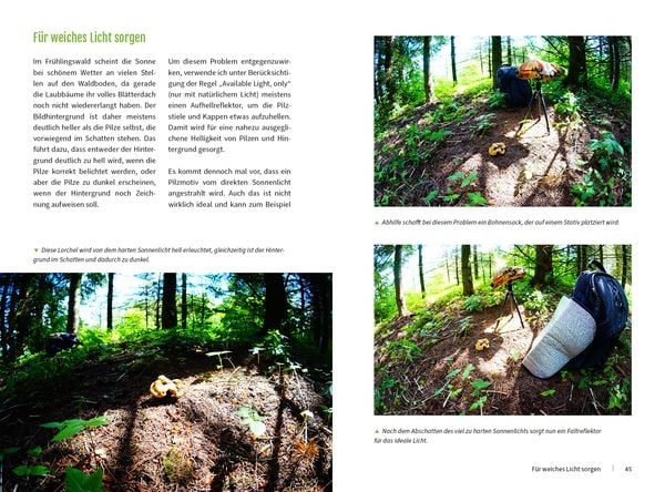 Produktbild: Pilzfotografie - Magische Momente inszenieren