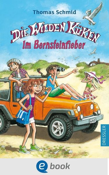 Produktbild: Die Wilden K&uuml;ken 9. Im Bernsteinfieber