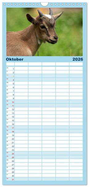 Produktbild: Familienplaner 2026 - Zwergziegen mit 5 Spalten (Wandkalender, 21 x 45 cm) CALVENDO
