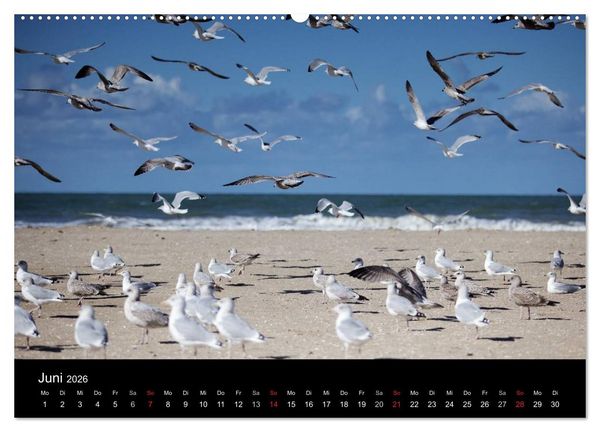 Produktbild: Frankreich Normandie (Wandkalender 2026 DIN A2 quer), CALVENDO Monatskalender