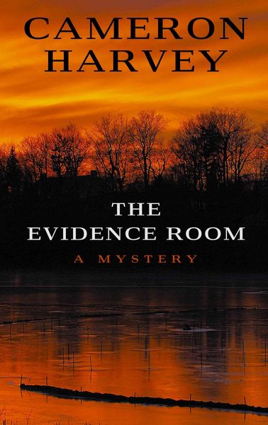 Produktbild: Evidence Room -Lp