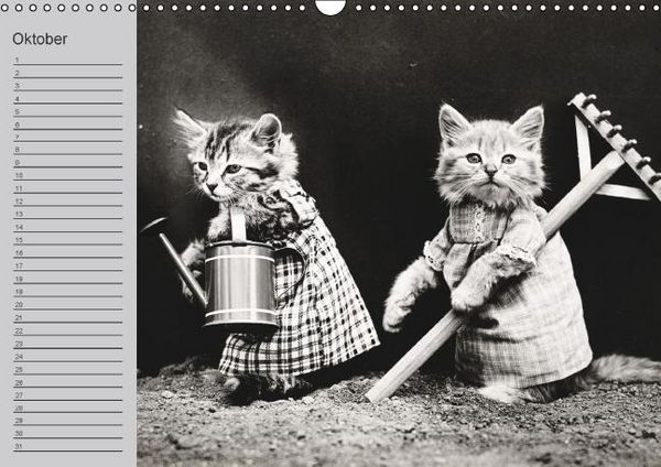 Produktbild: Katzen und Hunde - Nostalgie auf Pfoten (Wandkalender immerw&auml;hrend DIN A3 quer)