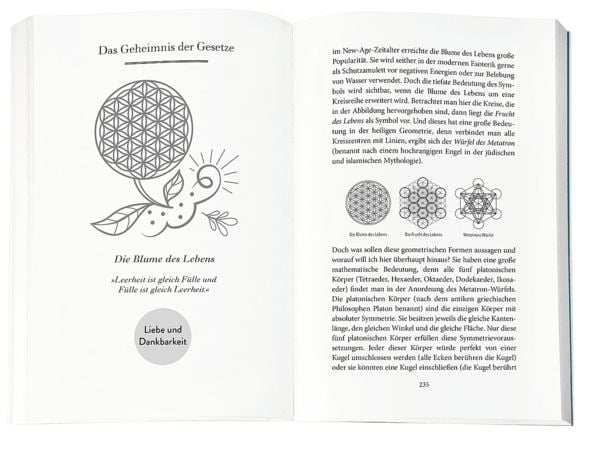 Produktbild: Higher Mind. Die Gesetze des Bewusstseins
