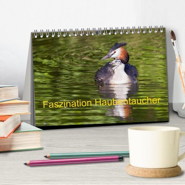 Produktbild: Faszination Haubentaucher (Tischkalender 2026 DIN A5 quer), CALVENDO Monatskalender
