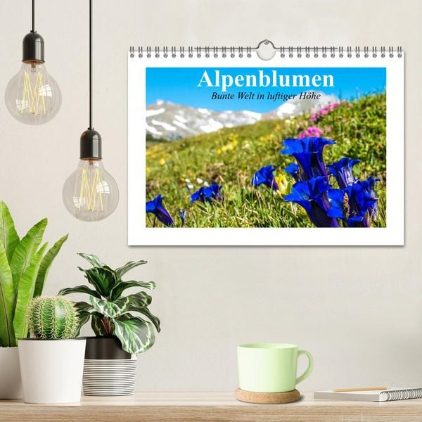 Produktbild: Alpenblumen. Bunte Welt in luftiger H&ouml;he (Wandkalender 2026 DIN A4 quer), CALVENDO Monatskalender