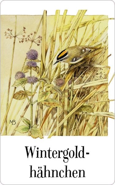 Produktbild: Schachtelspiel: Zauberhaftes Vogel-Memo (M. Bastin)