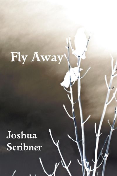 Produktbild: Fly Away