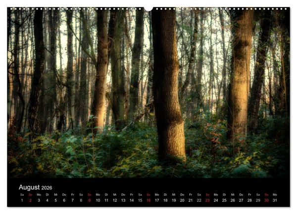 Produktbild: Mystische W&auml;lder (hochwertiger Premium Wandkalender 2026 DIN A2 quer), Kunstdruck in Hochglanz