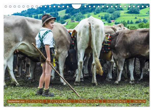 Produktbild: Allg&auml;uer Sch&ouml;nheiten Allg&auml;u - Land der K&uuml;he (Wandkalender 2026 DIN A4 quer), CALVENDO Monatskalender