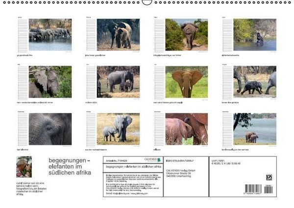 Produktbild: begegnungen - elefanten im s&uuml;dlichen afrika (Wandkalender immerw&auml;hrend DIN A2 quer)