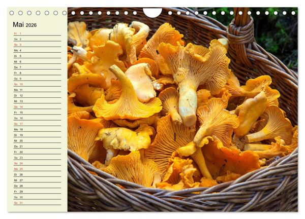 Produktbild: Pilze und Pilzgerichte (Wandkalender 2026 DIN A4 quer), CALVENDO Monatskalender