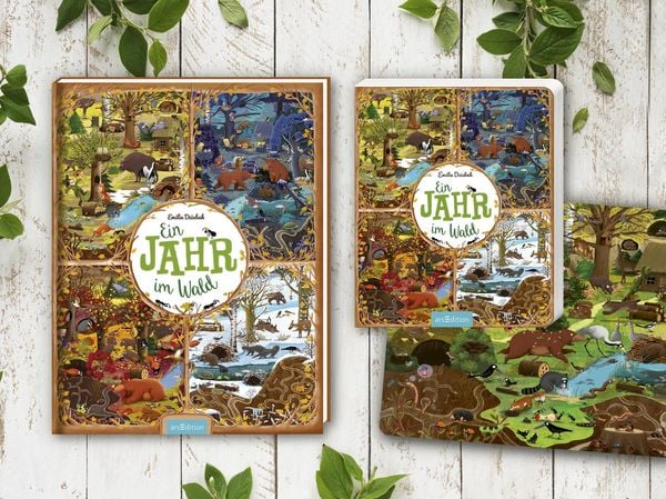 Produktbild: Ein Jahr im Wald