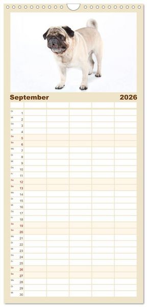 Produktbild: Familienplaner 2026 - Mops - unwiderstehlich und charmant mit 5 Spalten (Wandkalender, 21 x 45 cm) CALVENDO