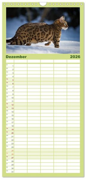 Produktbild: Familienplaner 2026 - Bengalen Outdoor und Action mit 5 Spalten (Wandkalender, 21 x 45 cm) CALVENDO
