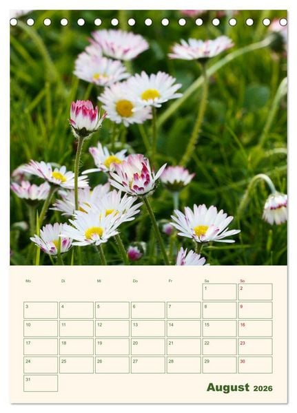 Produktbild: Vertr&auml;umte G&auml;nsebl&uuml;mchen (Tischkalender 2026 DIN A5 hoch), CALVENDO Monatskalender