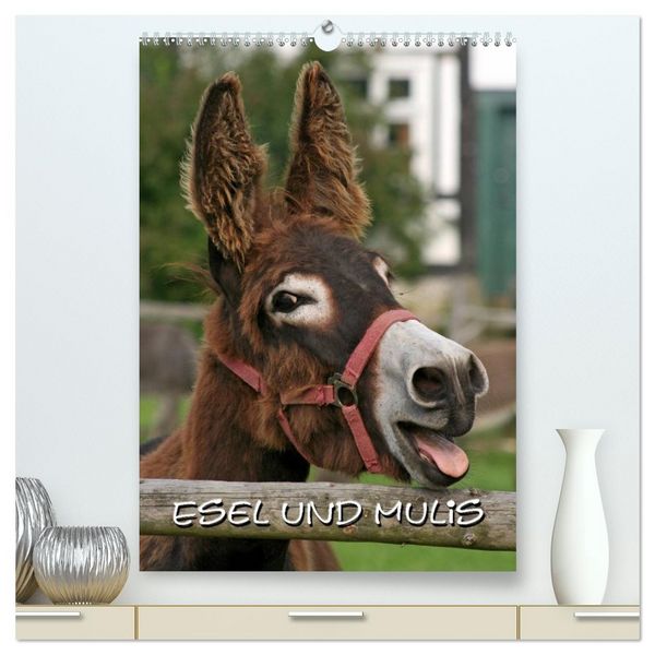 Esel und Mulis (hochwertiger Premium Wandkalender 2026 DIN A2 hoch), Kunstdruck in Hochglanz