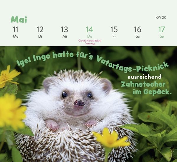 Produktbild: Mini-Wochenkalender 2026: Tierisch gechillt!