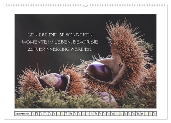 Produktbild: Spruch verliebt (hochwertiger Premium Wandkalender 2026 DIN A2 quer), Kunstdruck in Hochglanz