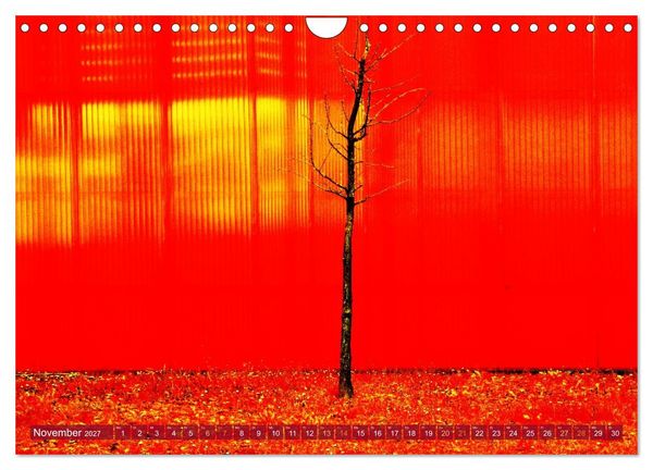 Produktbild: Extra bunt und nochmal bunter (Wandkalender 2027 DIN A4 quer), CALVENDO Monatskalender