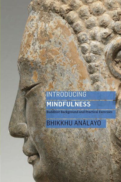 Produktbild: Introducing Mindfulness