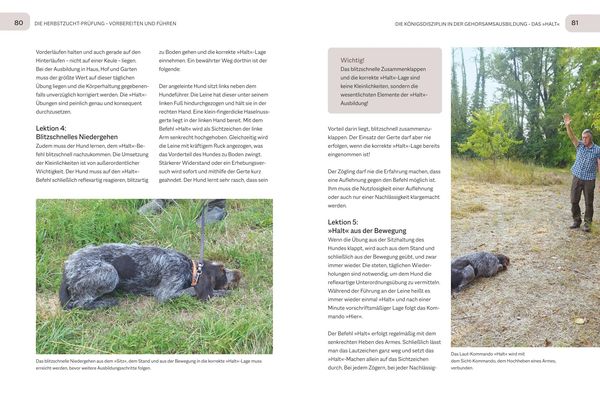 Produktbild: Der Jagdgebrauchshund-J&auml;hrling