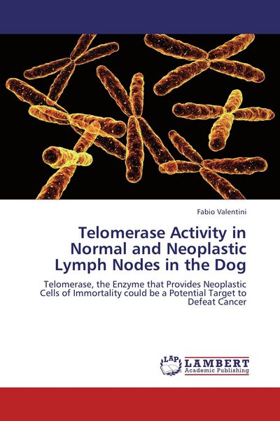 Produktbild: Telomerase Activity in Normal and Neoplastic Lymph Nodes in the Dog