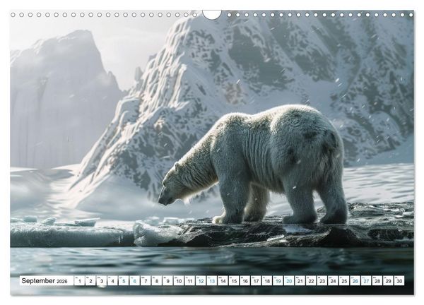 Produktbild: Wei&szlig;e W&auml;chter des Nordens: Ein Jahr im Reich der Eisb&auml;ren (Wandkalender 2026 DIN A3 quer), CALVENDO Monatskalender