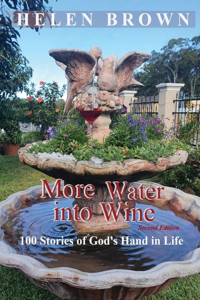 Produktbild: More Water into Wine