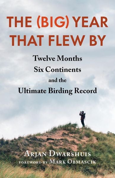 Produktbild: The (Big) Year that Flew By