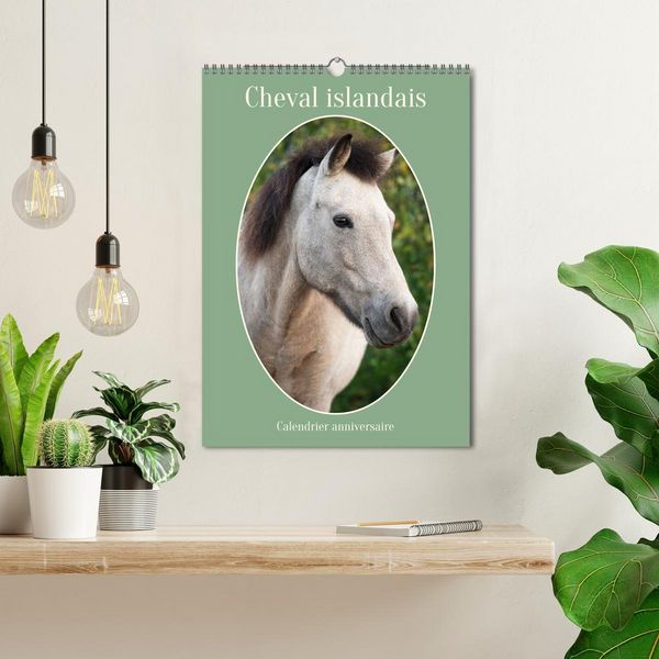 Produktbild: Cheval islandais - Calendrier anniversaire (Calendrier mural 2026 DIN A3 horizontal), CALVENDO calendrier mensuel