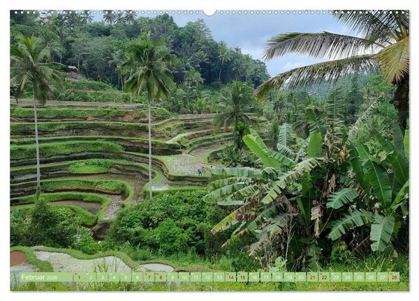 Produktbild: Bali - G&ouml;tterinsel (Wandkalender 2026 DIN A2 quer), CALVENDO Monatskalender