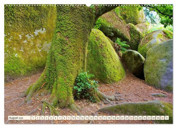 Produktbild: Huelgoat - Sagenumwobener M&auml;rchenwald in der Bretagne (Wandkalender 2026 DIN A2 quer), CALVENDO Monatskalender