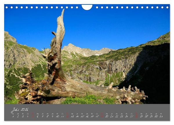 Produktbild: Unser sch&ouml;nes Allg&auml;u (Wandkalender 2026 DIN A4 quer), CALVENDO Monatskalender