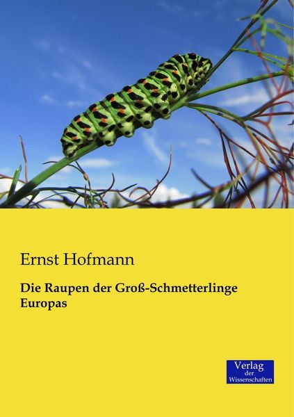 Produktbild: Die Raupen der Gro&szlig;-Schmetterlinge Europas